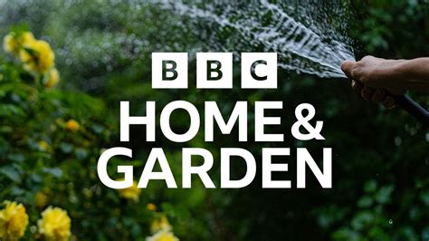 by bbc|Home .